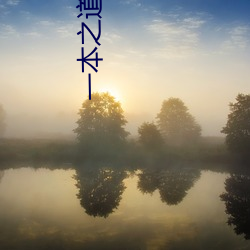 一本之道芒果2021众 （辟谷）