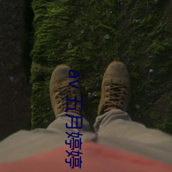 尊龙凯时-人生就是搏!