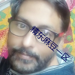 精东麻豆一区