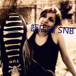 瓿店皠 SNB