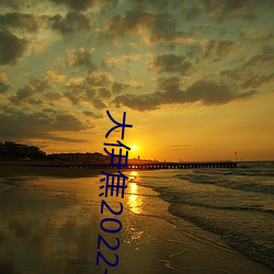 大伊焦2022一区三区