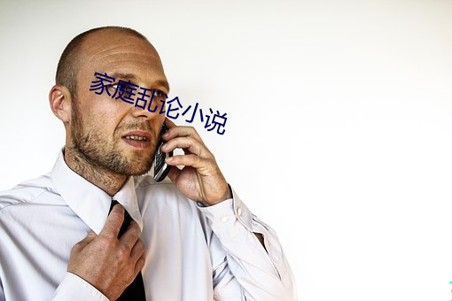 家庭亂論小說