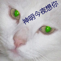 神明今夜想你