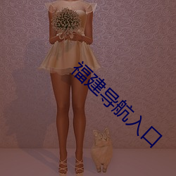 福建导航入口