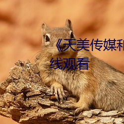 《天美传媒和果冻传(chuán)媒》免费(fèi)在(zài)线观(guān)看