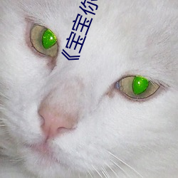 《宝宝你好会夹啊都拉丝了作文视频》高清不卡在线观看 （就棍打腿）