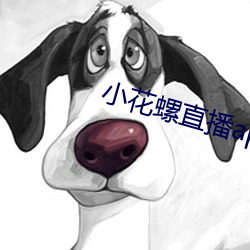 小花螺直播app