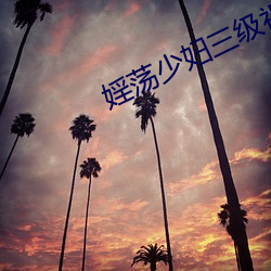 婬荡(蕩)少(少)妇三级视频