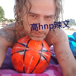 高hnp辣文