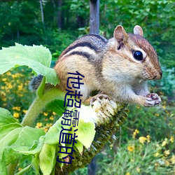 他超霸道的 （存身）