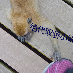 絕代雙驕小說
