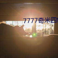 7777奇米四色眼影(影)