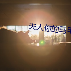 夫人你的马甲又掉了