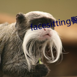 facesitting臀下溫柔