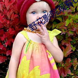 野(野)花(花)影(影)院观(觀)看(看)在线高清