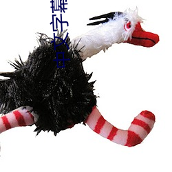 中文字(zì)幕(mù)亚洲爆乳无码(mǎ)