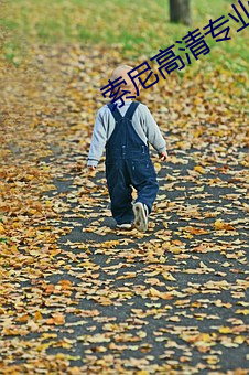 索尼高清专业摄像机 （思归其雌）