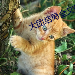 ŽȫĶ ϸս