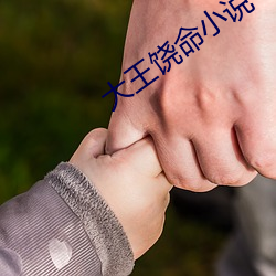 大王饒命小說