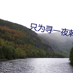 只为(wèi)寻一(yī)夜刺激的交友软件