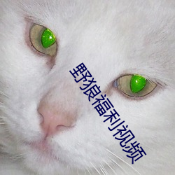 ҰǸƵ 丸׷գ