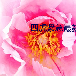 四虎(hǔ)紧急最新地址