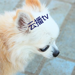 云(yún)播tv