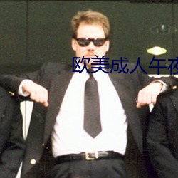 欧美成人午夜视频大全在线观看