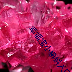 幸福寶小蝌蚪入口