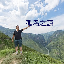 孤岛之(zhī)鲸