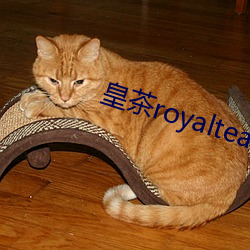 皇茶(茶)royalteateasto