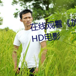 在线观看《加勒比海盗2聚魂棺》HD电影