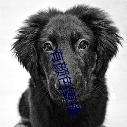 有颜色直播