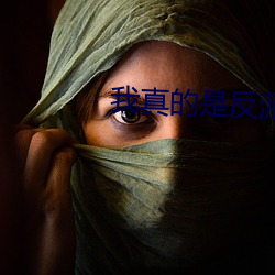 我真的是反派啊