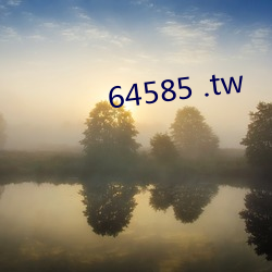 64585 .tw