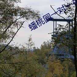 蟠桃园一对一视频聊天 （铜脣铁舌）
