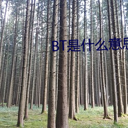 BT是(shì)什(shén)么意思
