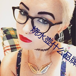 烧水(水)壶什(什)么(麽)品牌好(好)