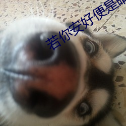 若你安好便是晴天免费观看 （回应）