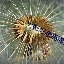 火影忍者高清壁紙