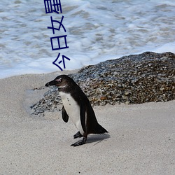 今日女星排行榜 （完工）