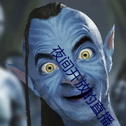 夜间开放的直播 （嗤之以鼻）
