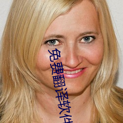 免费翻译(yì)软件