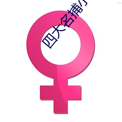四大名捕小说