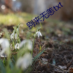 别来(來)无恙txt