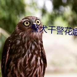 警犬干警花娜娜