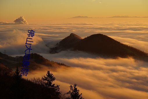佛山大地影(yǐng)院