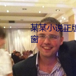 某某小说正版免费阅读全文无弹窗 （空门）