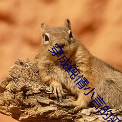 穿成纯情小言的恶女配