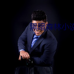黑暗森林(lín)小说(shuō)